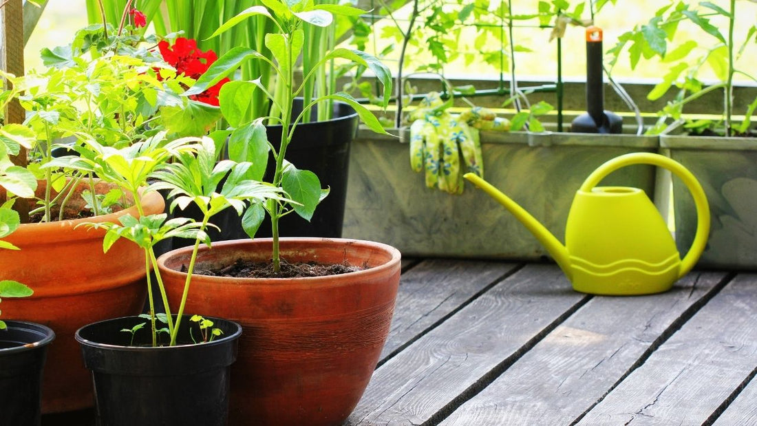 Botanian quick soil mix di pot tanaman