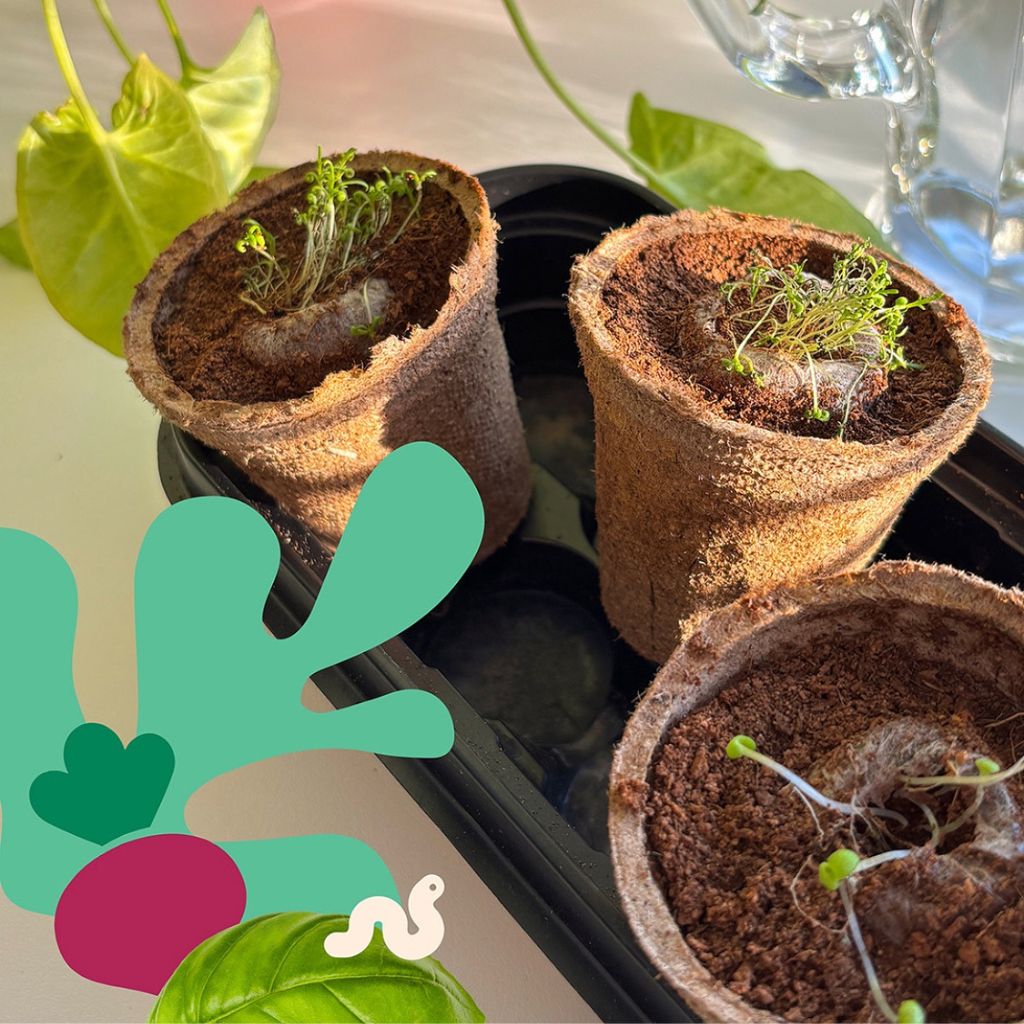 Botanian Home Gardening