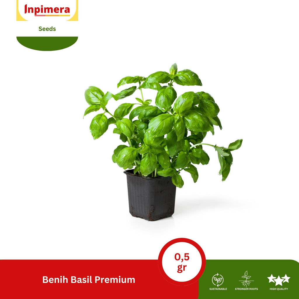 Inpimera Premium Basil Seeds Home Gardening