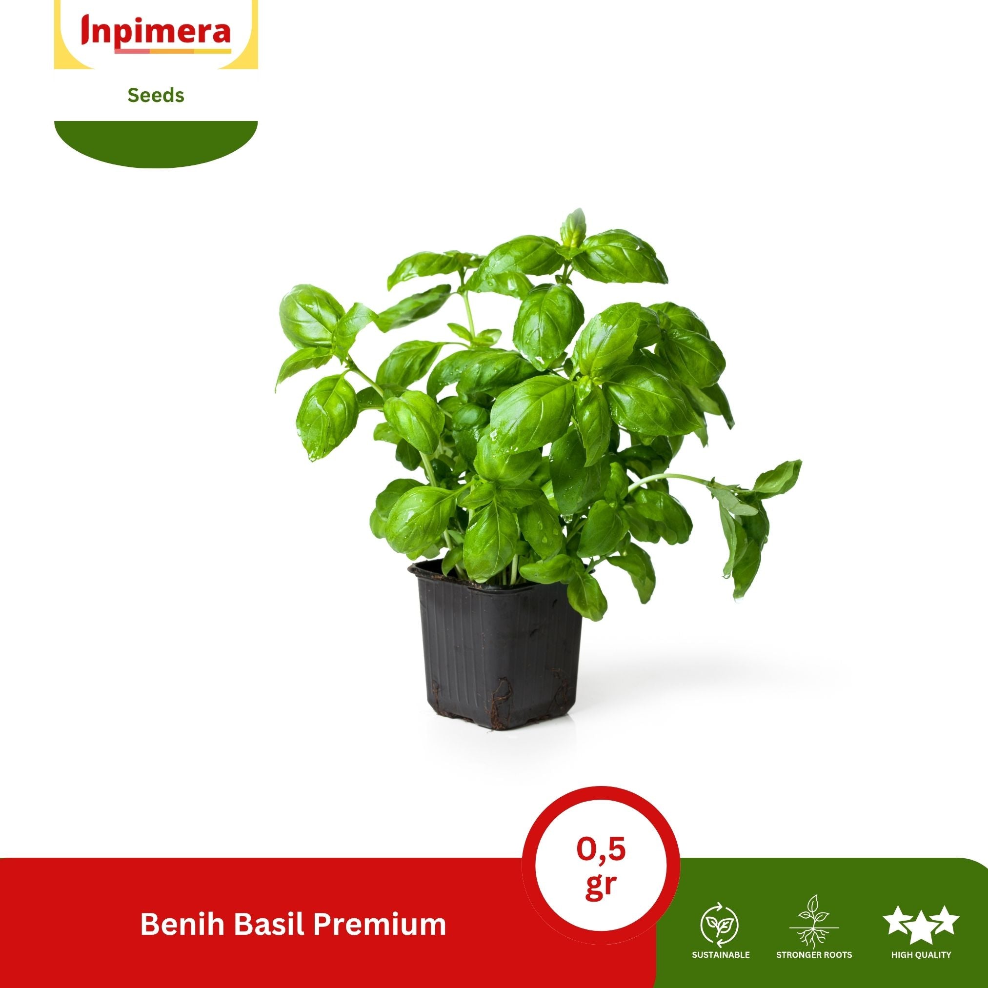 Inpimera Premium Basil Seeds Home Gardening