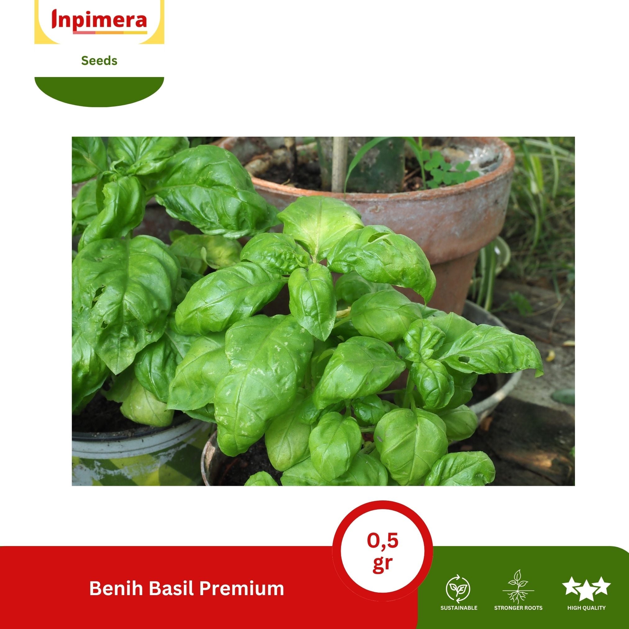 Inpimera Premium Basil Seeds Home Gardening
