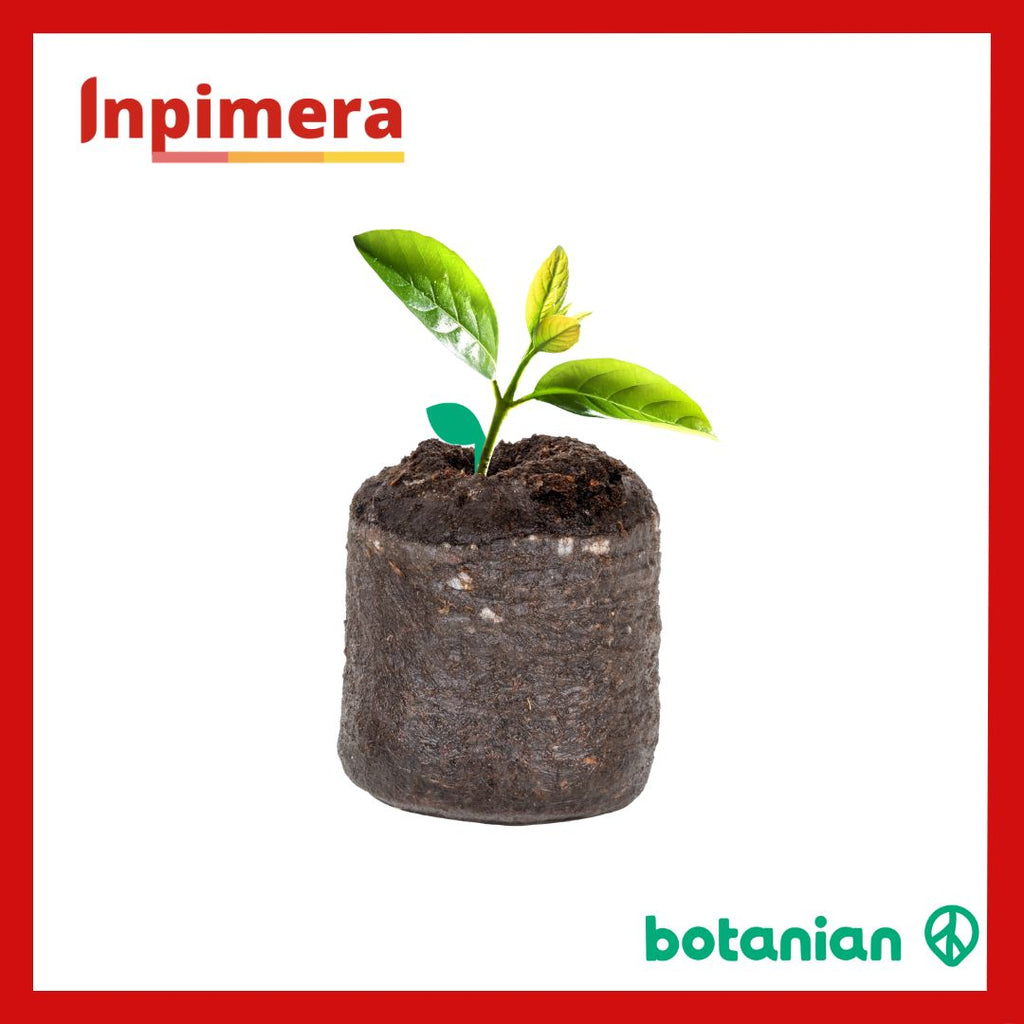 Botanian Grow Pellets