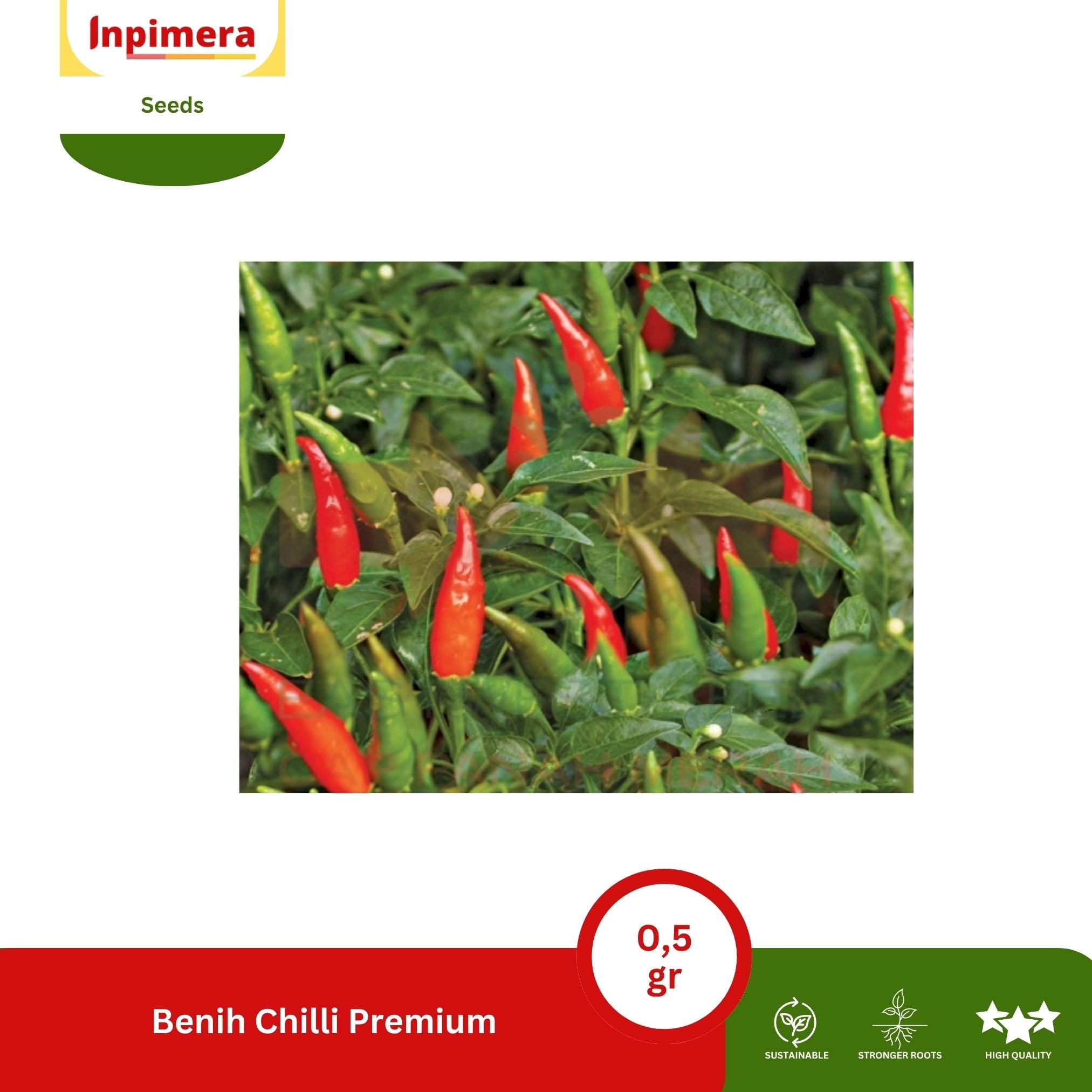 Inpimera Premium Chilli Seeds Home Gardening