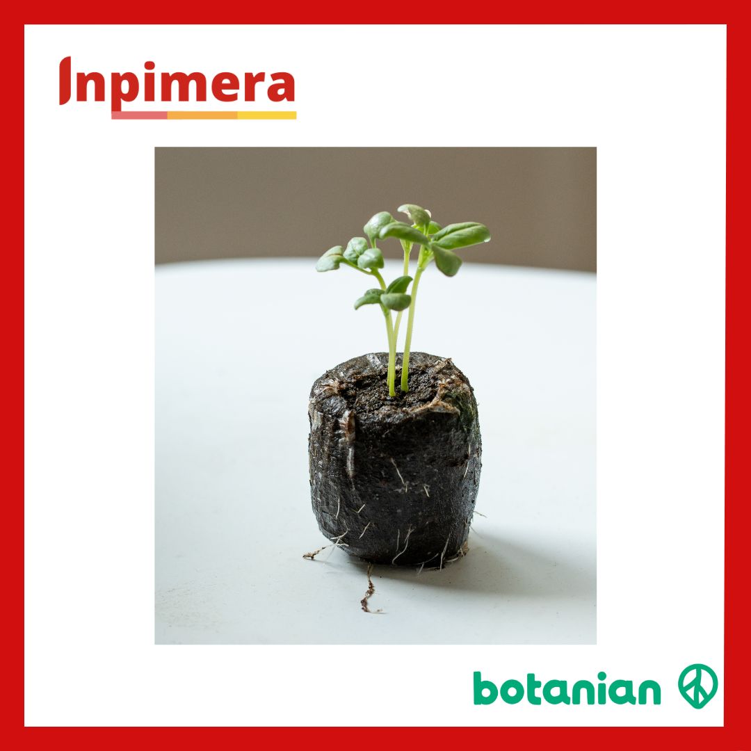 Botanian Grow Pellets