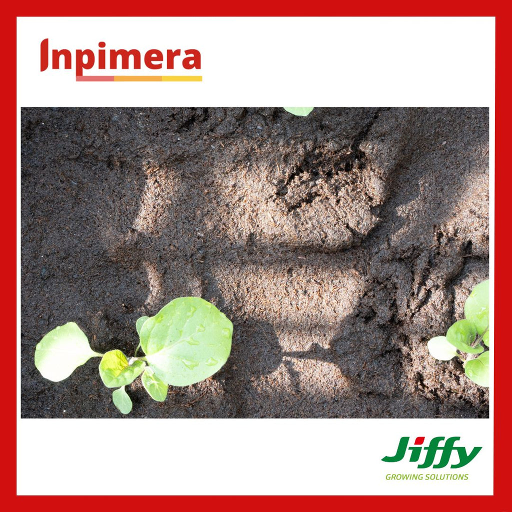 Inpimera Jiffy 7C Pellets 50mm Media Tanam Advance Home Gardening