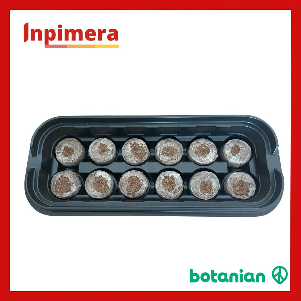 Botanian Greenhouse Kit