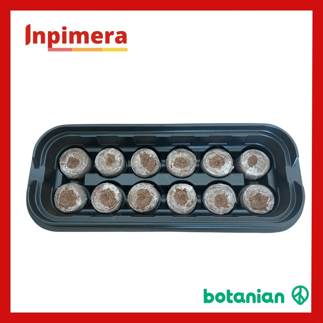 Botanian Greenhouse Kit