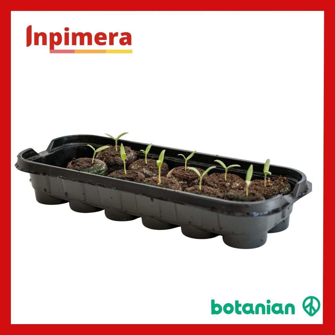 Botanian Greenhouse Kit