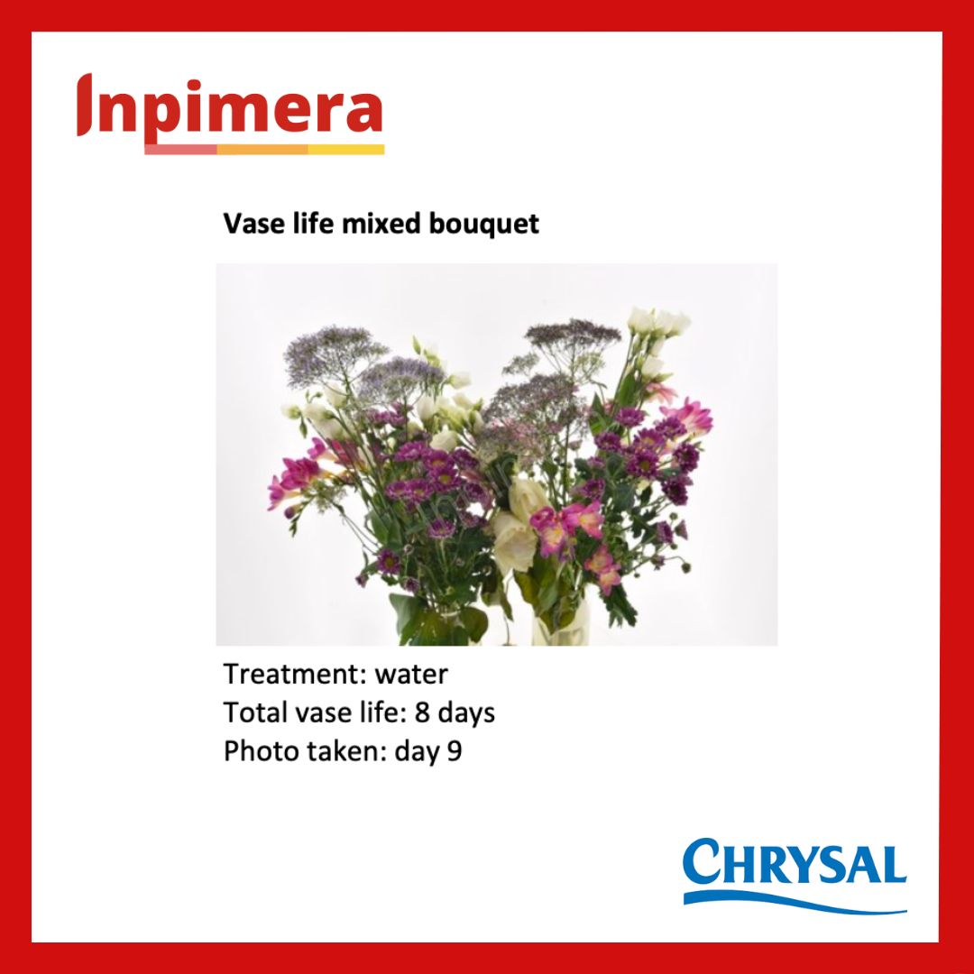 Chrysal Flower Food Universal Powder Bio Based