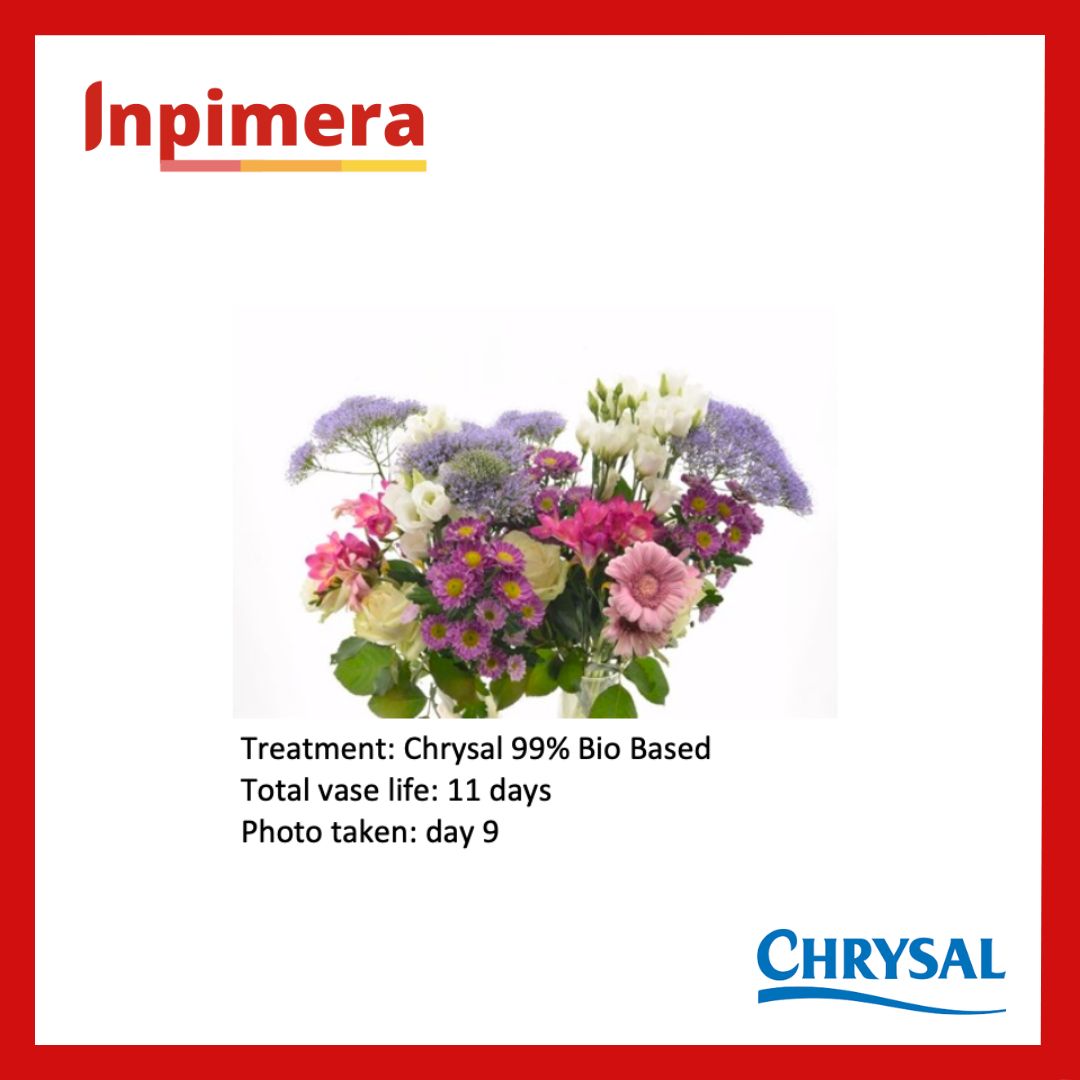 Chrysal Flower Food Universal Powder Bio Based