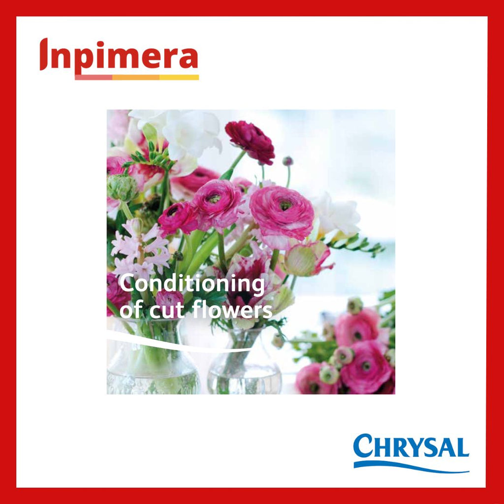 Chrysal Flower Food Universal Powder Bio Based