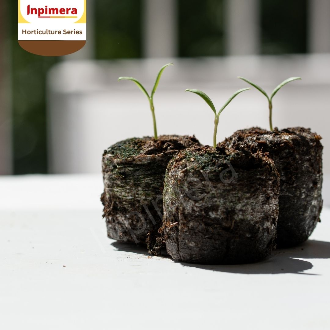 Inpimera Jiffy 7C Pellets 50mm Media Tanam Advance Home Gardening