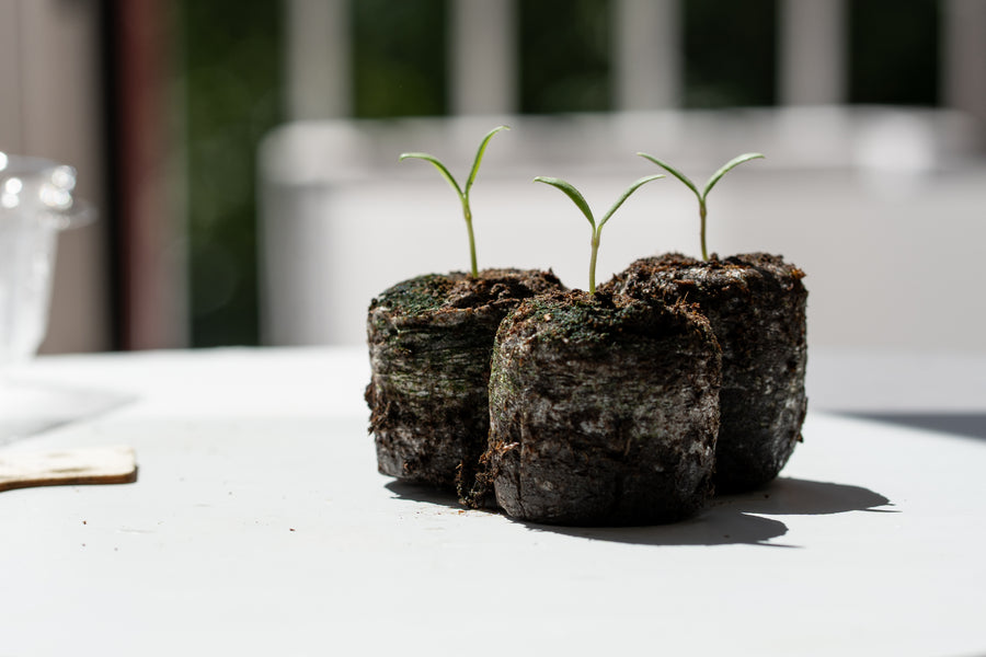 Sustainability